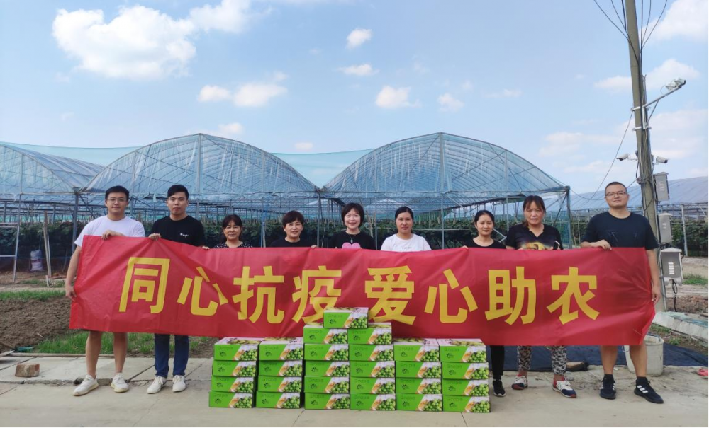 加拿大28预测