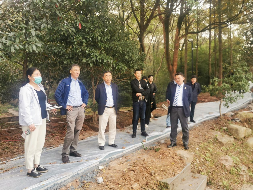加拿大28预测