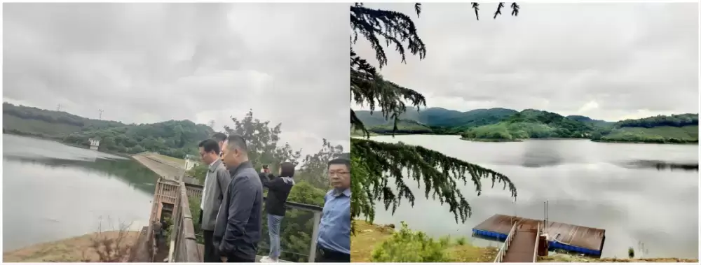 加拿大28预测