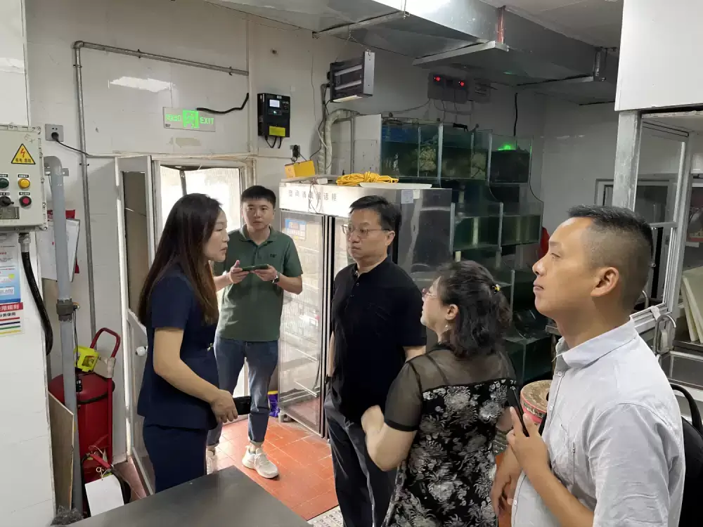 加拿大28预测