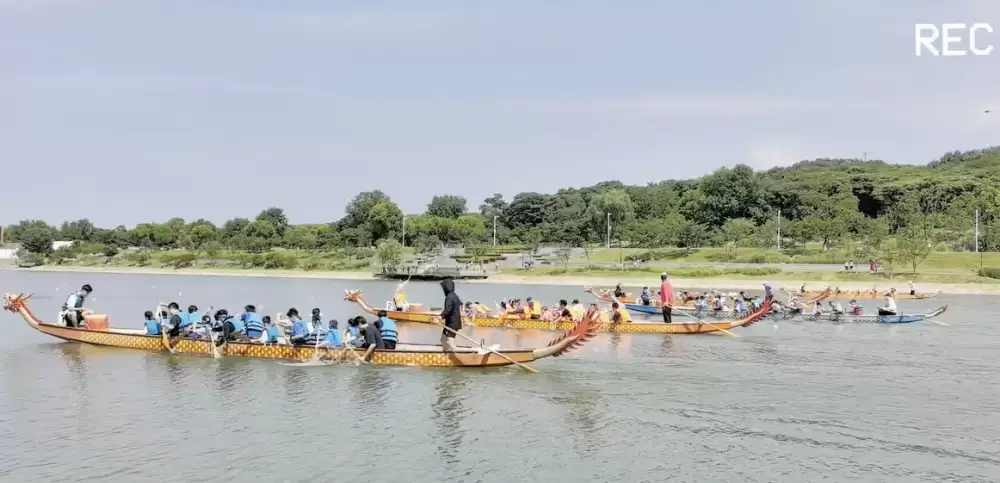 加拿大28预测