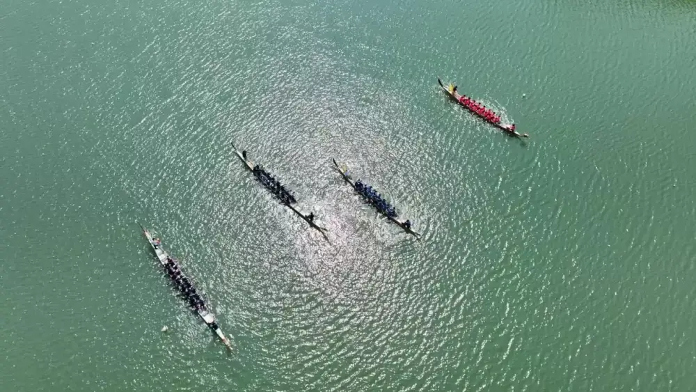 加拿大28预测