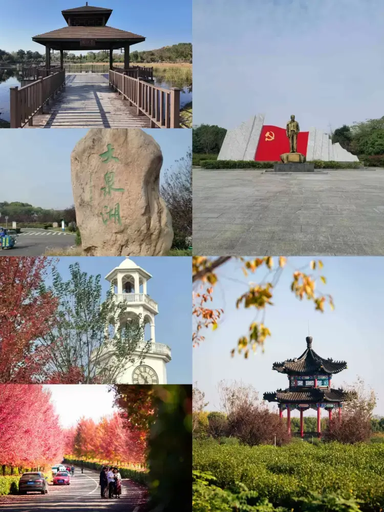 加拿大28预测