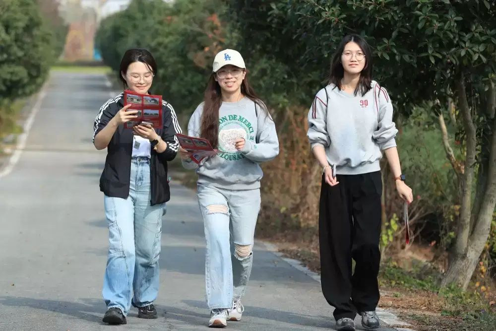 加拿大28预测