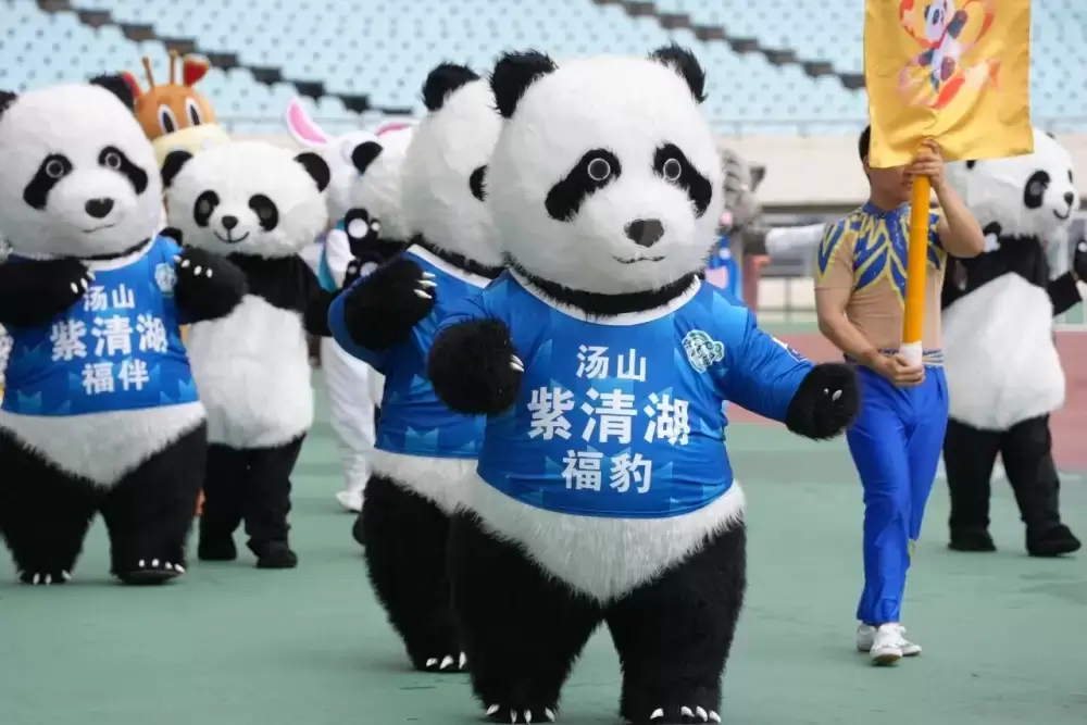 加拿大28预测