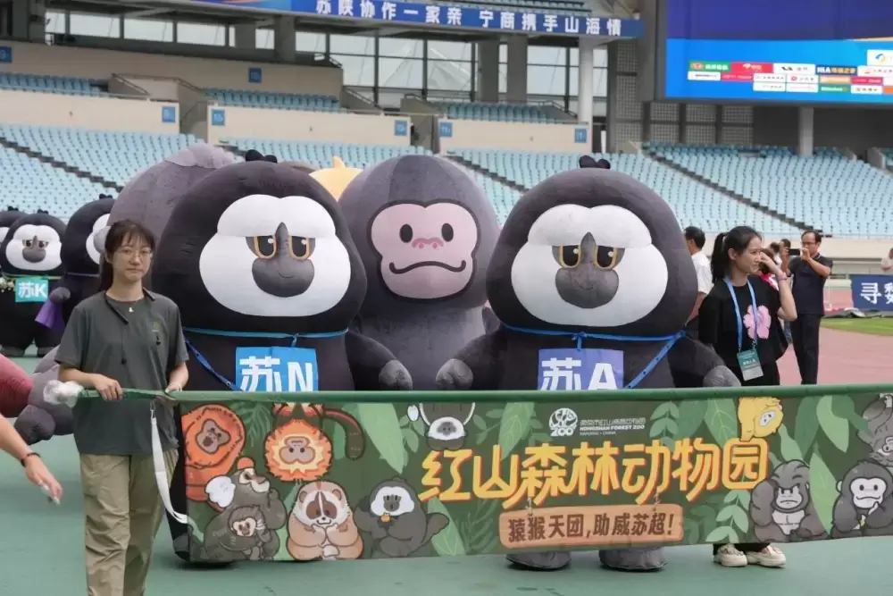 加拿大28预测